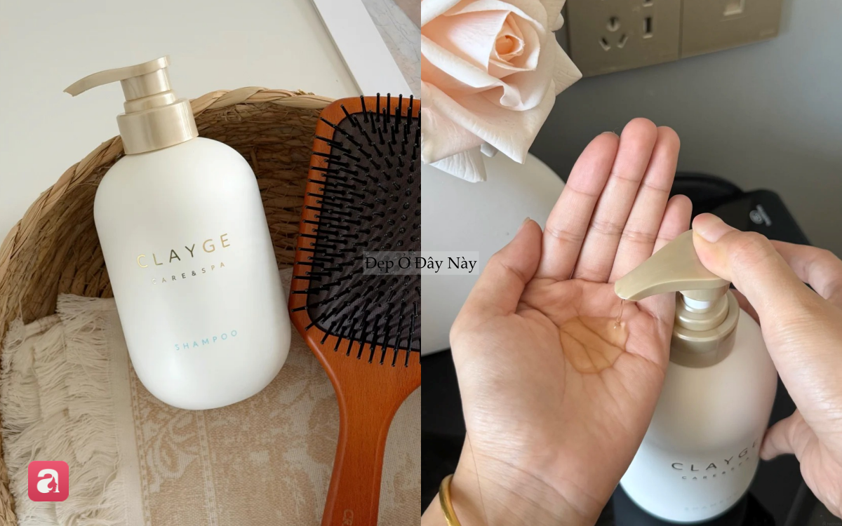 4 loại dầu gội đất s&eacute;t gi&uacute;p 
