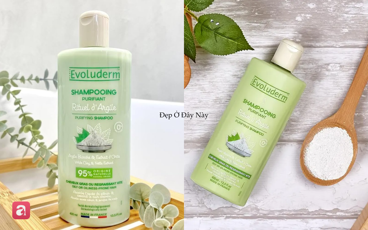 4 loại dầu gội đất s&eacute;t gi&uacute;p 