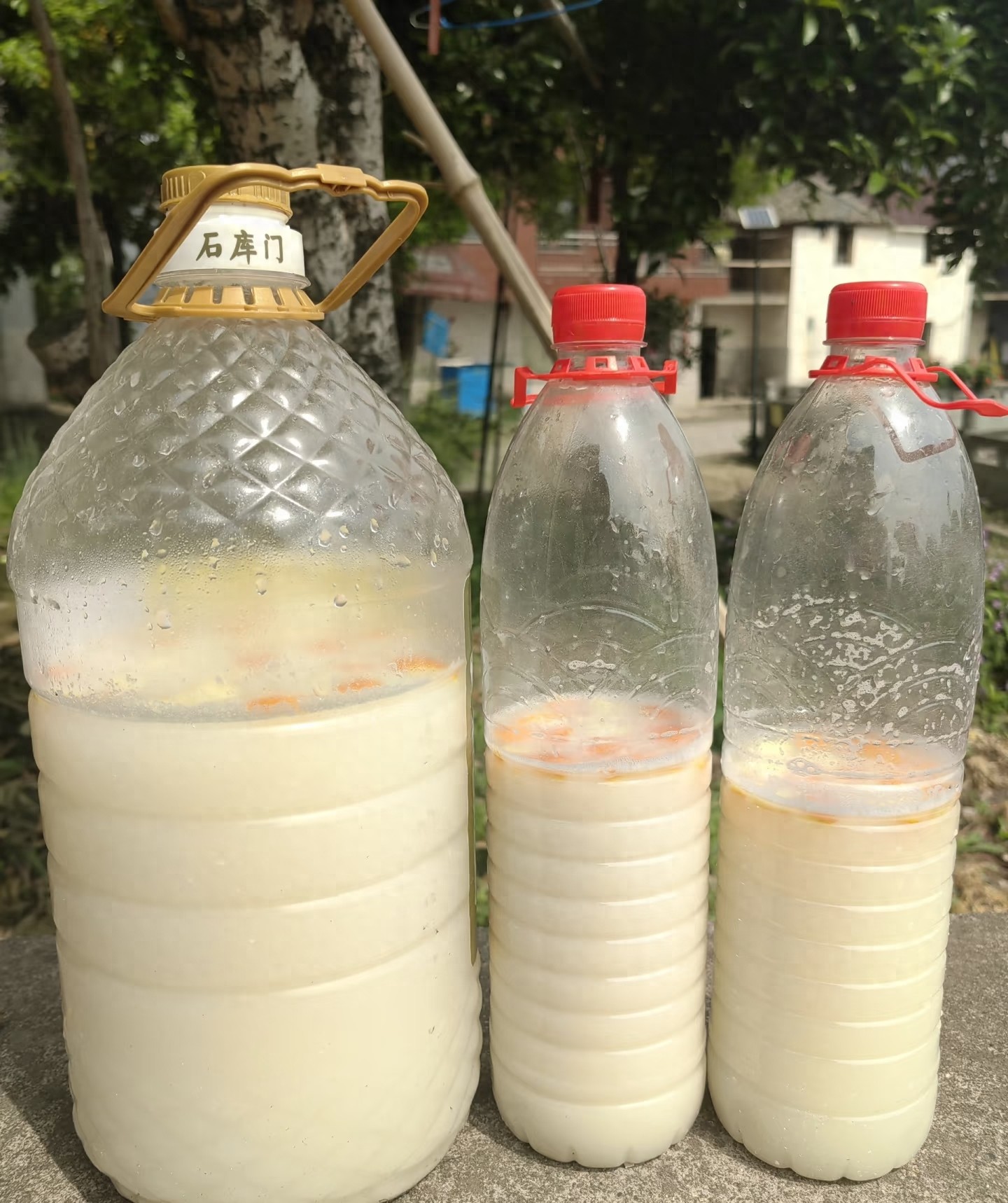 6 loại 