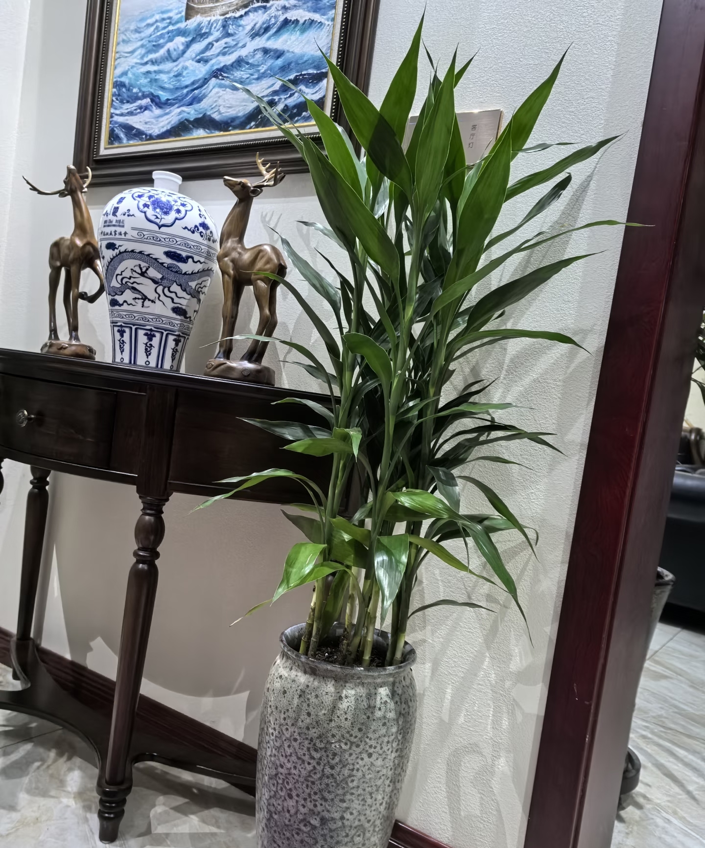 V&igrave; sao người xưa lu&ocirc;n khuy&ecirc;n trồng 5 loại c&acirc;y n&agrave;y trong nh&agrave;? C&acirc;u trả lời kh&ocirc;ng chỉ nằm ở phong thủy - Ảnh 5.