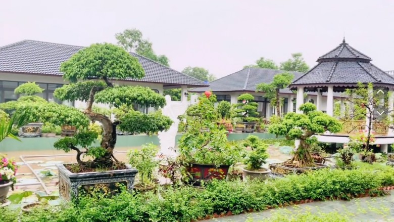 4 anh em x&acirc;y biệt thự 40 tỷ ở Thanh H&oacute;a để b&aacute;o hiếu mẹ gi&agrave; - Ảnh 6.