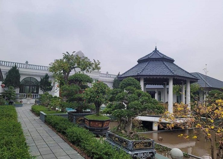 4 anh em x&acirc;y biệt thự 40 tỷ ở Thanh H&oacute;a để b&aacute;o hiếu mẹ gi&agrave; - Ảnh 5.