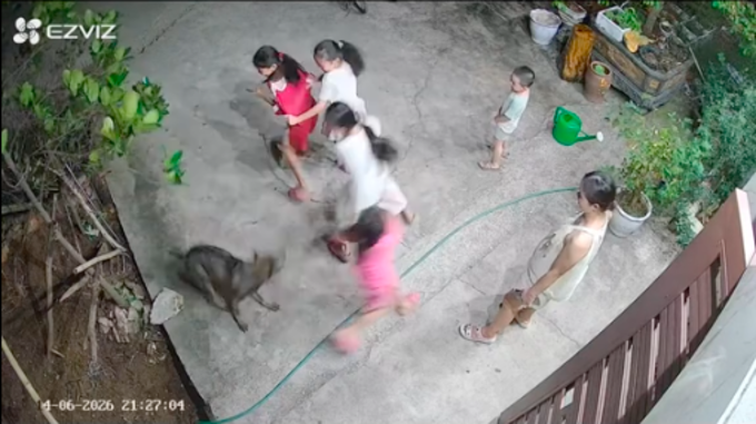 Khoảnh khắc vui nhộn của trẻ v&agrave; ch&oacute; cưng trong kỳ nghỉ h&egrave; đ&aacute;ng nhớ - Ảnh 1.