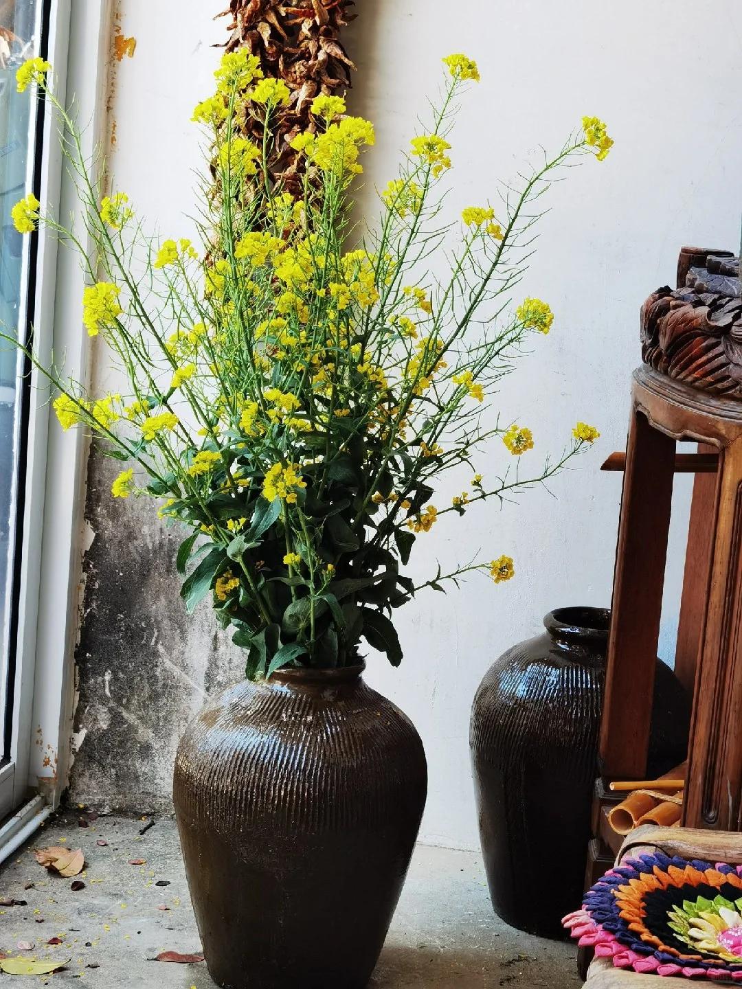 Chi chưa đến 10.000 đồng, người phụ nữ tạo được chậu cây khiến cư dân mạng đồng loạt hỏi cách làm - Ảnh 3.