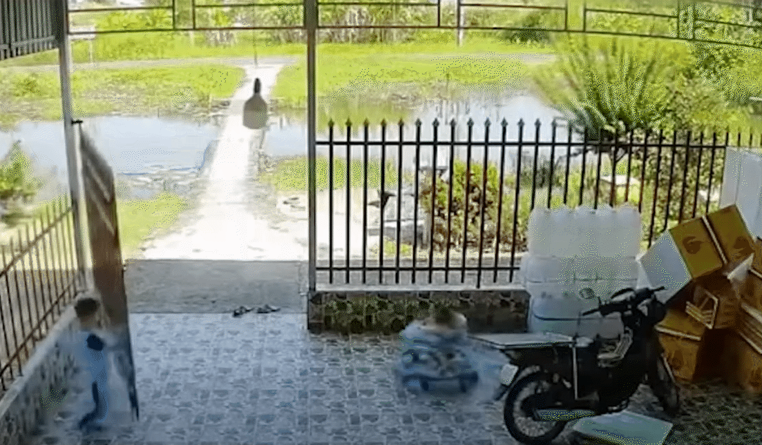 Clip khiến nhiều mẹ lạnh sống lưng: Em bé nhanh như cắt phi xe tập đi về phía hồ nước, may mắn có anh trai giữ lại - Ảnh 1.