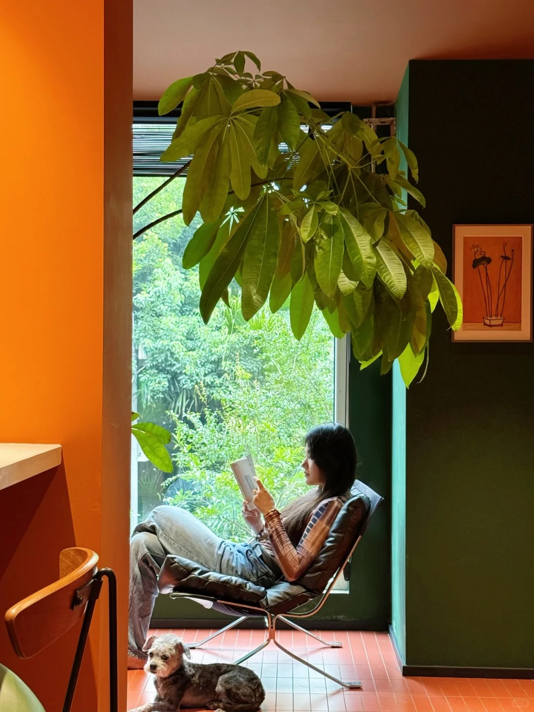 Cải tạo ban c&ocirc;ng 1m&sup2; th&agrave;nh ph&ograve;ng tắm, kh&ocirc;ng đi l&agrave;m vẫn sống rất chill: Cuộc sống khiến nhiều người t&ograve; m&ograve;- Ảnh 12.
