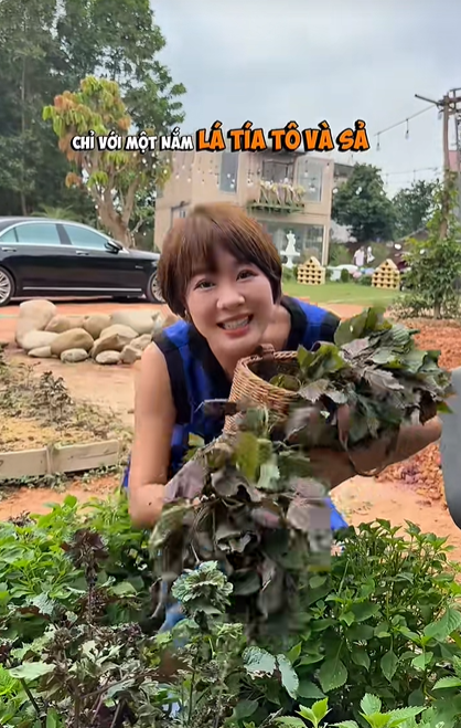 Hoàng Kim Ngọc xây nhà container tại trang trại riêng - Ảnh 6. Hoàng Kim Ngọc xây nhà container tại trang trại riêng - Ảnh 6.