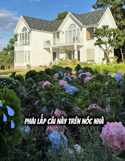 Hoàng Kim Ngọc xây nhà container tại trang trại riêng - Ảnh 5. Hoàng Kim Ngọc xây nhà container tại trang trại riêng - Ảnh 5.