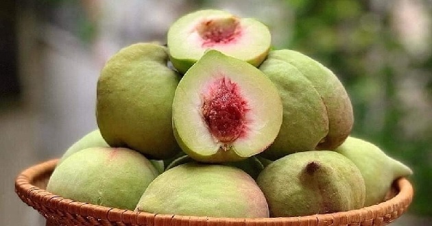 Loại quả 
