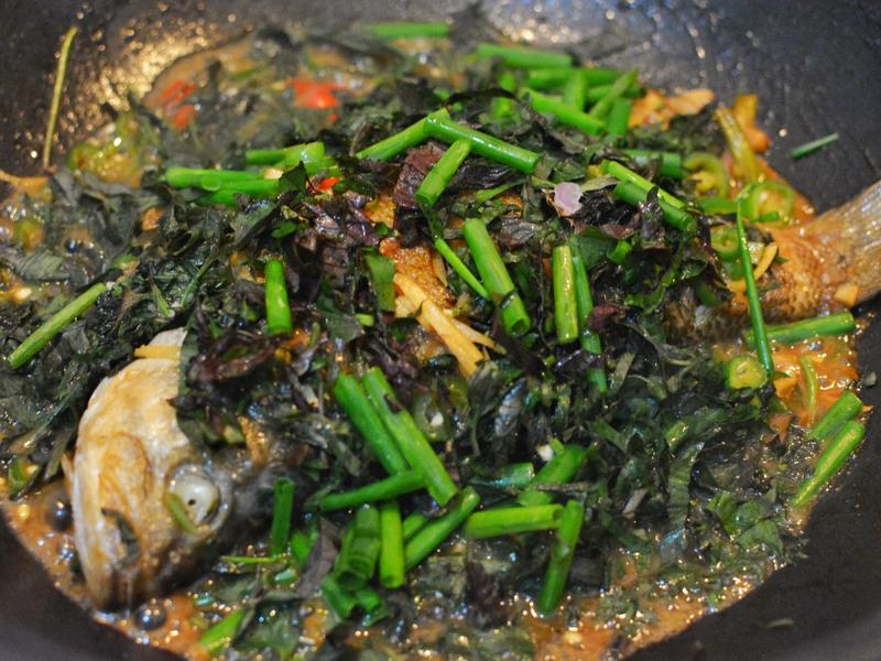 Thêm nắm lá này vào khi kho cá: Ngon hết nấc lại bổ phổi, dưỡng gan, chống oxy hóa - Ảnh 11. Thêm nắm lá này vào khi kho cá: Ngon hết nấc lại bổ phổi, dưỡng gan, chống oxy hóa - Ảnh 11.