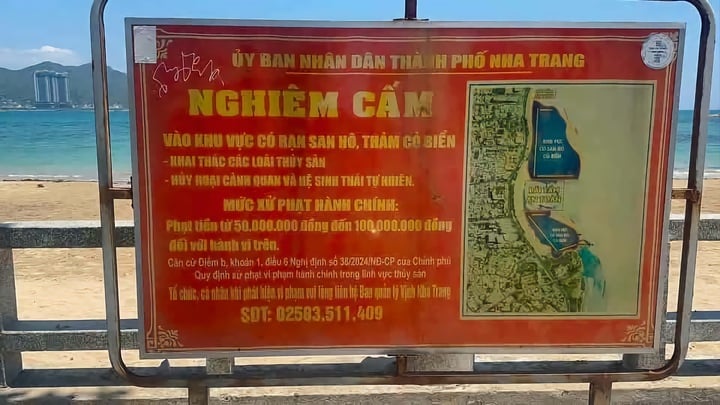 Bẻ san h&ocirc; H&ograve;n Chồng: Nh&oacute;m du kh&aacute;ch bị xử l&yacute; v&igrave; x&acirc;m hại hệ sinh th&aacute;i biển - Ảnh 2.