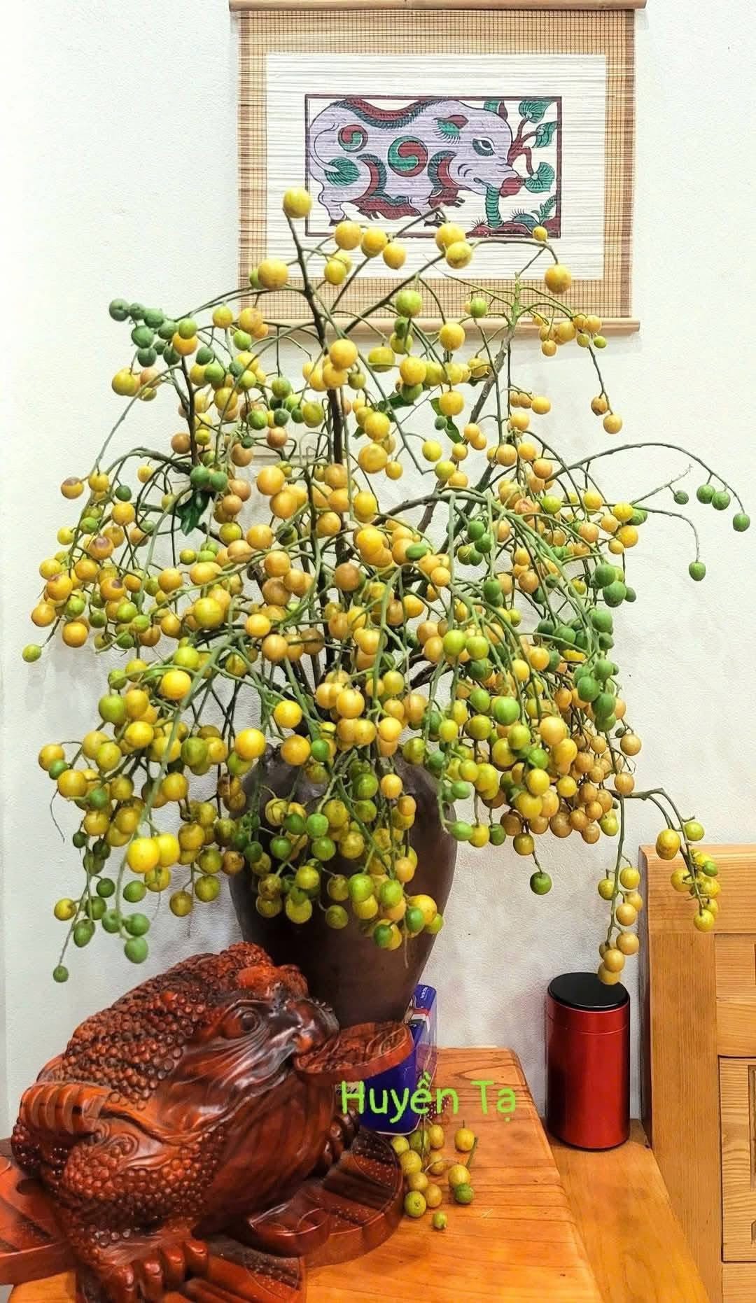 Cắm cành hồng bì mùa hè: Xu hướng trang trí nhà cửa cho không gian sống thêm sinh động - Ảnh 11. Cắm cành hồng bì mùa hè: Xu hướng trang trí nhà cửa cho không gian sống thêm sinh động - Ảnh 11.