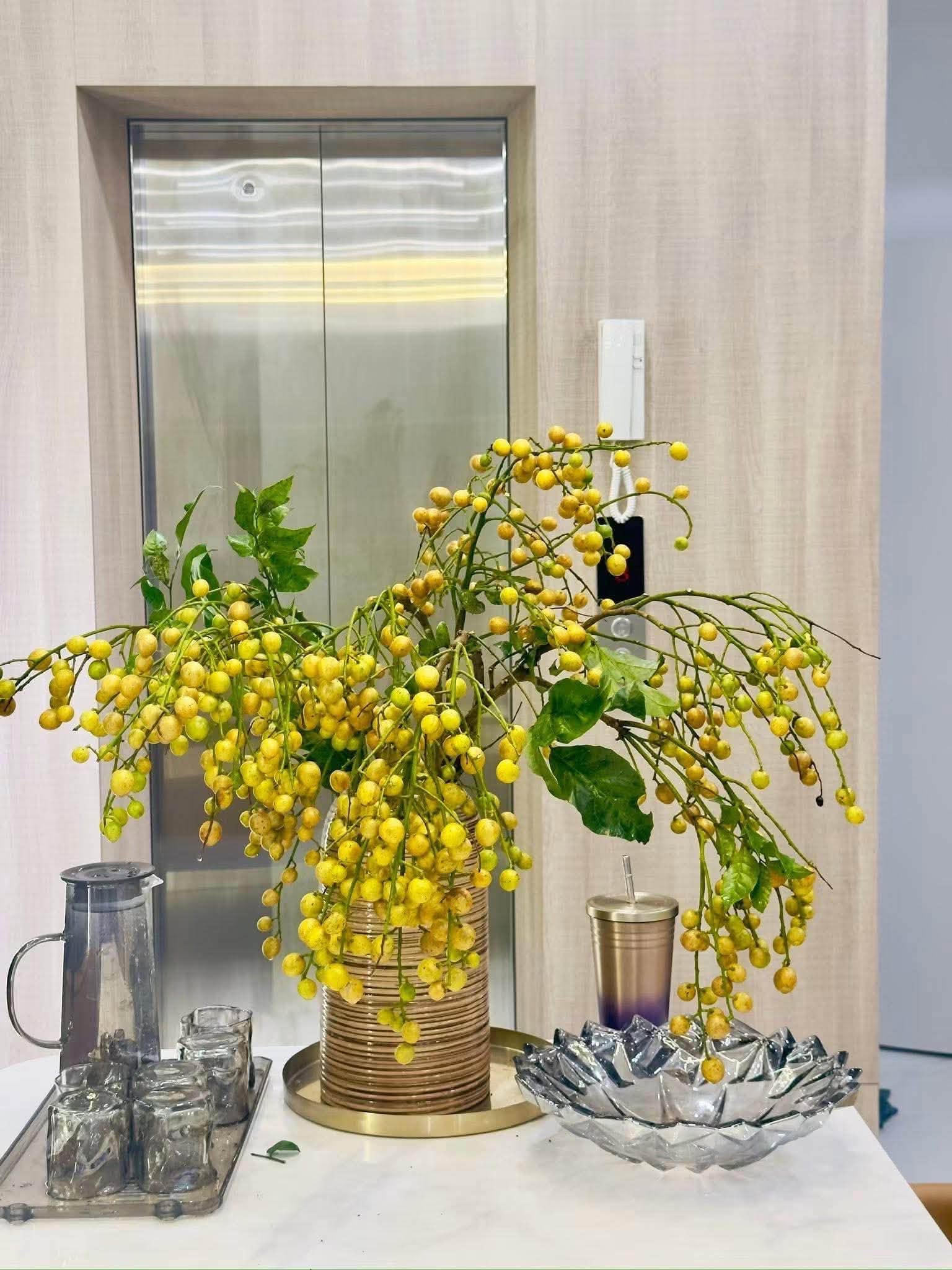 Cắm cành hồng bì mùa hè: Xu hướng trang trí nhà cửa cho không gian sống thêm sinh động - Ảnh 10. Cắm cành hồng bì mùa hè: Xu hướng trang trí nhà cửa cho không gian sống thêm sinh động - Ảnh 10.