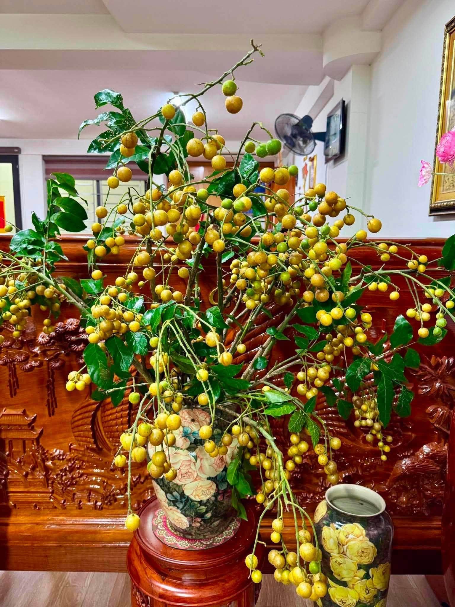 Cắm cành hồng bì mùa hè: Xu hướng trang trí nhà cửa cho không gian sống thêm sinh động - Ảnh 8. Cắm cành hồng bì mùa hè: Xu hướng trang trí nhà cửa cho không gian sống thêm sinh động - Ảnh 8.