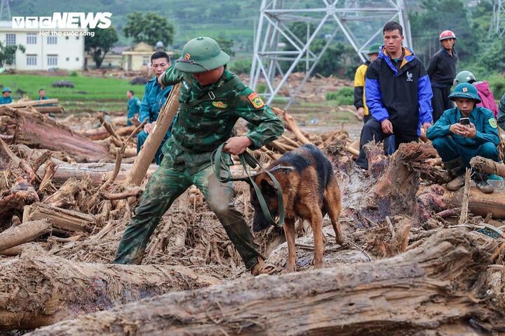 Thi thể nạn nh&acirc;n lũ qu&eacute;t ở Lai Ch&acirc;u được t&igrave;m thấy , c&ograve;n 2 người mất t&iacute;ch - Ảnh 1.