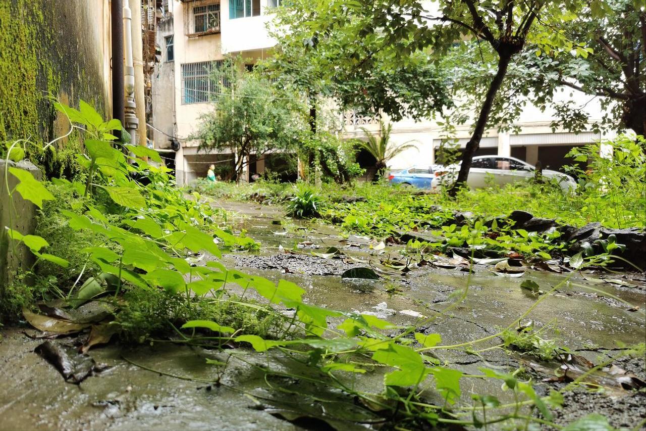 Bỏ hơn 1,8 tỷ đồng mua căn hộ tầng trệt c&oacute; s&acirc;n cho bố mẹ dưỡng gi&agrave;, t&ocirc;i kh&ocirc;ng ngờ chỉ sau chưa đầy 2 năm cả nh&agrave; đều hối hận - Ảnh 4.