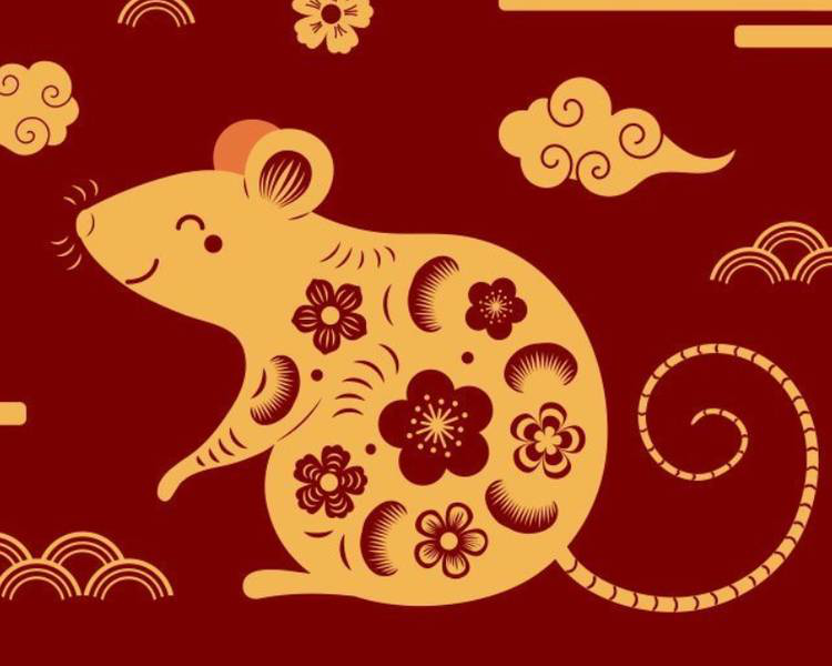 Top 4 cung hoàng đạo có vận may tài chính khởi sắc trong tháng 8: Tiền cũ về tay, tài lộc mở lối - Ảnh 1.