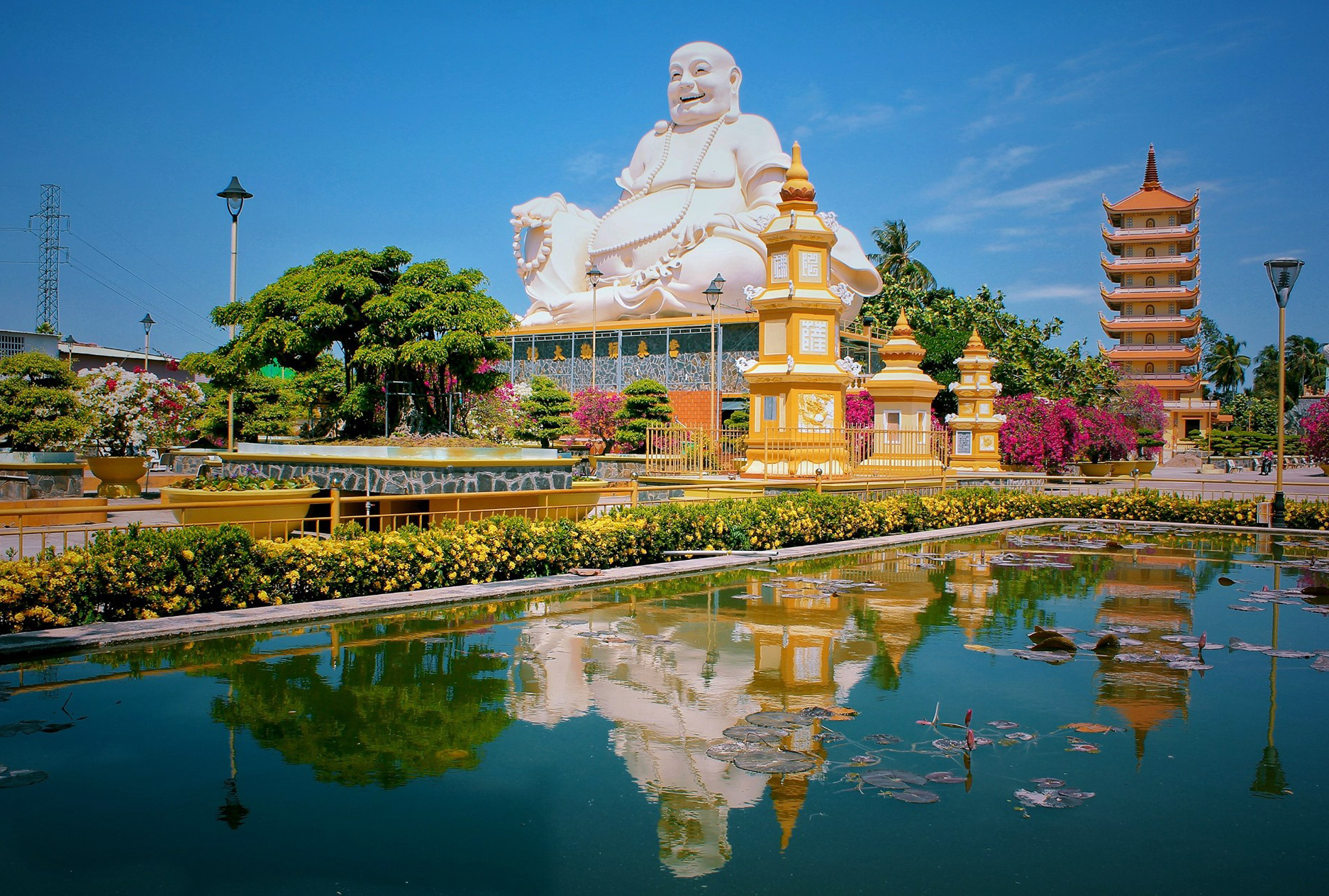 Trốn cảnh đợi xuồng 2 tiếng , kh&aacute;m ph&aacute; khu bảo tồn Đồng Th&aacute;p Mười tuyệt đẹp 2026 - Ảnh 8.