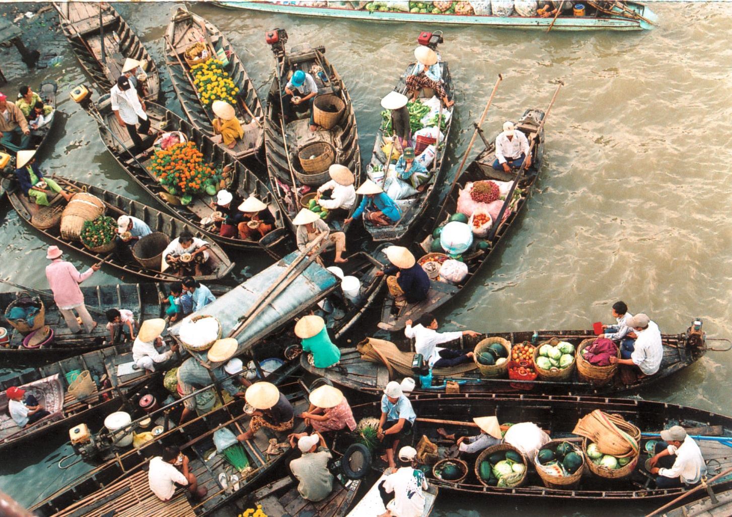 Trốn cảnh đợi xuồng 2 tiếng , kh&aacute;m ph&aacute; khu bảo tồn Đồng Th&aacute;p Mười tuyệt đẹp 2026 - Ảnh 9.