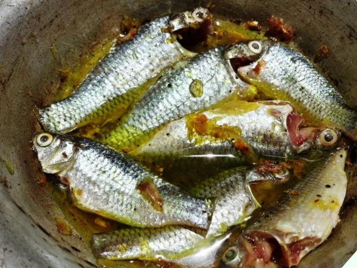 Lo&agrave;i c&aacute; c&oacute; c&aacute;i t&ecirc;n ai nghe cũng phải hỏi lại, đặc sản chinh phục thực kh&aacute;ch kh&oacute; t&iacute;nh bằng hương vị kh&oacute; kiếm - Ảnh 4.