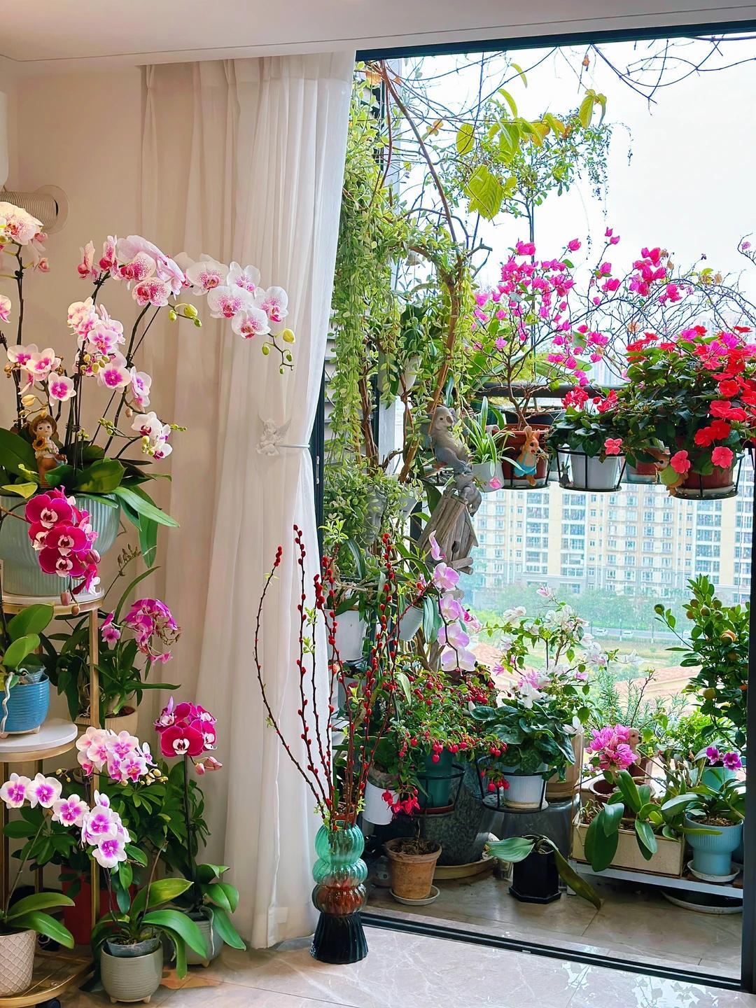 Vợ ch&ecirc; c&acirc;y chồng trồng vừa trơ vừa xấu, d&acirc;n mạng nh&igrave;n ảnh lại n&oacute;i: Đ&acirc;y l&agrave; người chơi c&acirc;y c&oacute; đẳng cấp - Ảnh 5.
