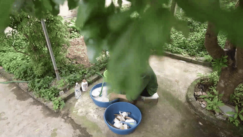Căn nh&agrave; tuềnh to&agrave;ng ở qu&ecirc; của b&agrave; Tuyết k&ecirc;nh 