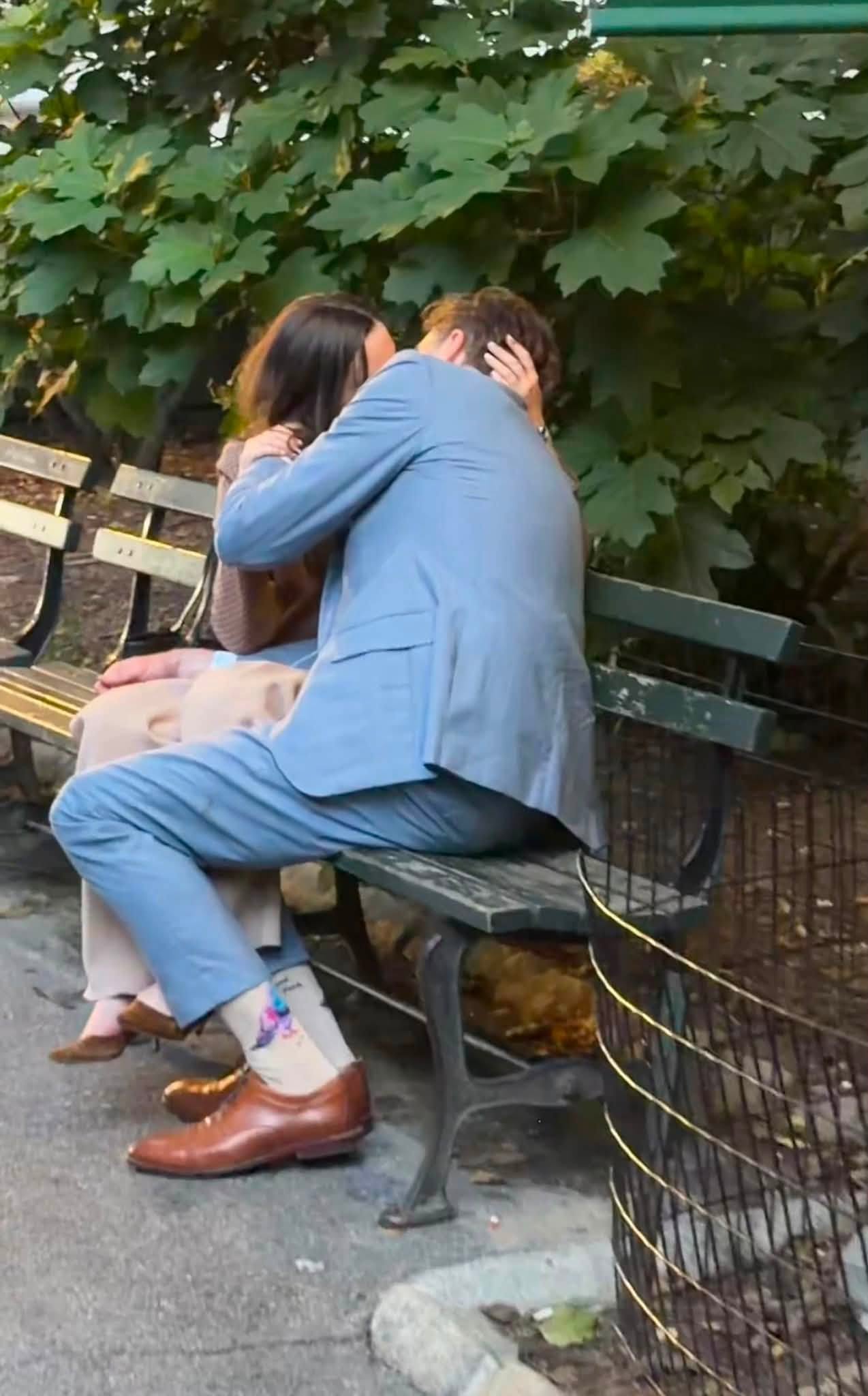 Tạm đ&igrave;nh chỉ luật sư bị 