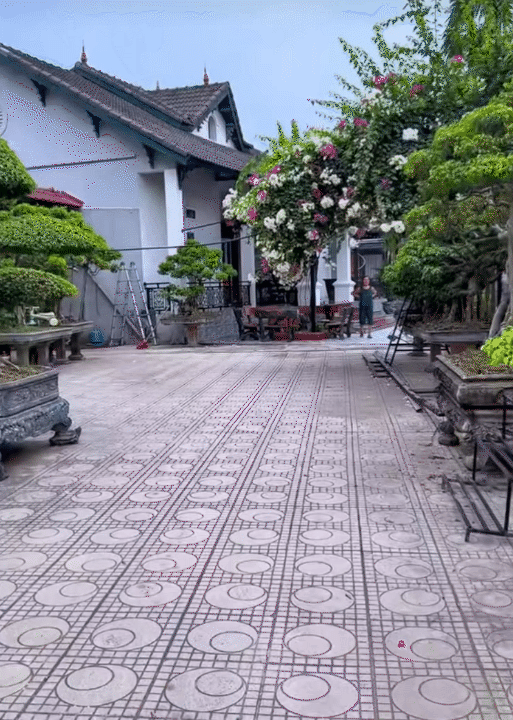 4 thế hệ, hơn 20 người sống chung tr&ecirc;n mảnh đất 3.000m2 ở H&agrave; Nội: Người phụ nữ 
