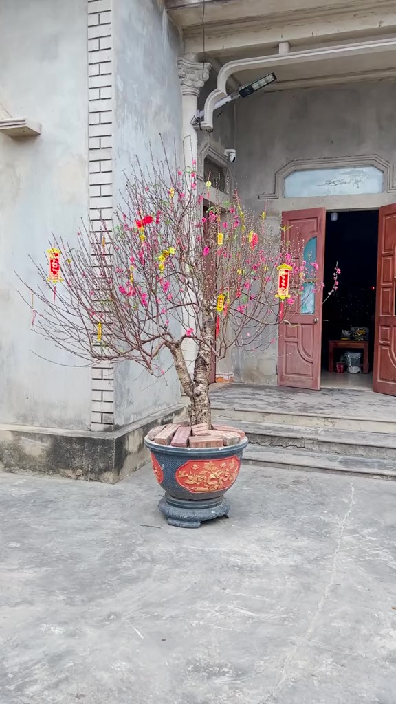 Căn nh&agrave; tuềnh to&agrave;ng ở qu&ecirc; của b&agrave; Tuyết k&ecirc;nh 