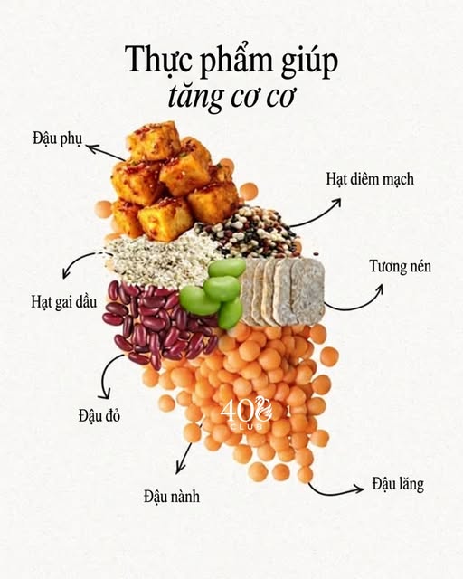 Ăn đ&uacute;ng sau tuổi 40: Một chiếc đĩa đủ m&agrave;u sắc c&oacute; thể mang lại nhiều lợi &iacute;ch hơn bạn nghĩ - Ảnh 2.
