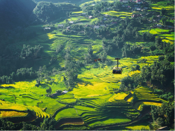 Fansipan - Từ điểm trekking của phượt thủ đến ng&ocirc;i vị đứng h&agrave;ng đầu lượng đặt chỗ tại Việt Nam - Ảnh 2.