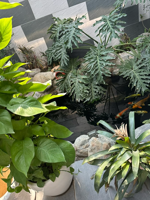 Căn nhà ở quê của Xuân Son: Thiết kế hiện đại và không gian sống lý tưởng - Ảnh 3. Căn nhà ở quê của Xuân Son: Thiết kế hiện đại và không gian sống lý tưởng - Ảnh 3.