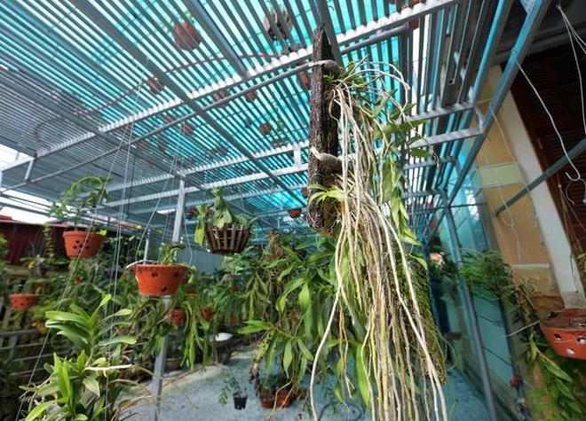 Căn nhà ở quê của Đỗ Thị Hà: Nét duyên dáng của nàng hậu tại thanh hóa - Ảnh 6. Căn nhà ở quê của Đỗ Thị Hà: Nét duyên dáng của nàng hậu tại thanh hóa - Ảnh 6.