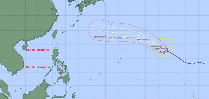 Si&ecirc;u b&atilde;o Dolphin c&oacute; thể mạnh ngang si&ecirc;u b&atilde;o Sinlaku trong năm 2026 - Ảnh 2.
