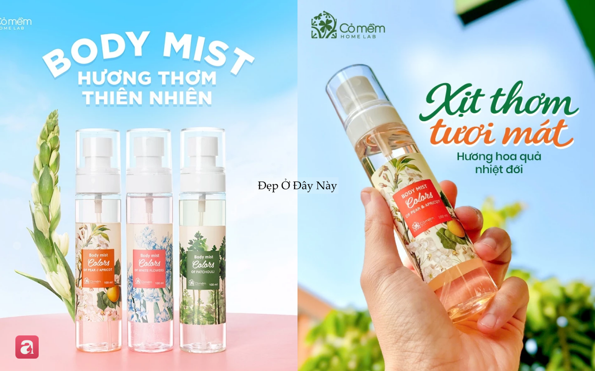 5 chai xịt thơm