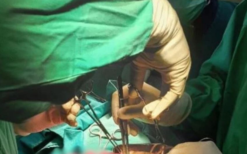 Ph&aacute;t hiện con vật 