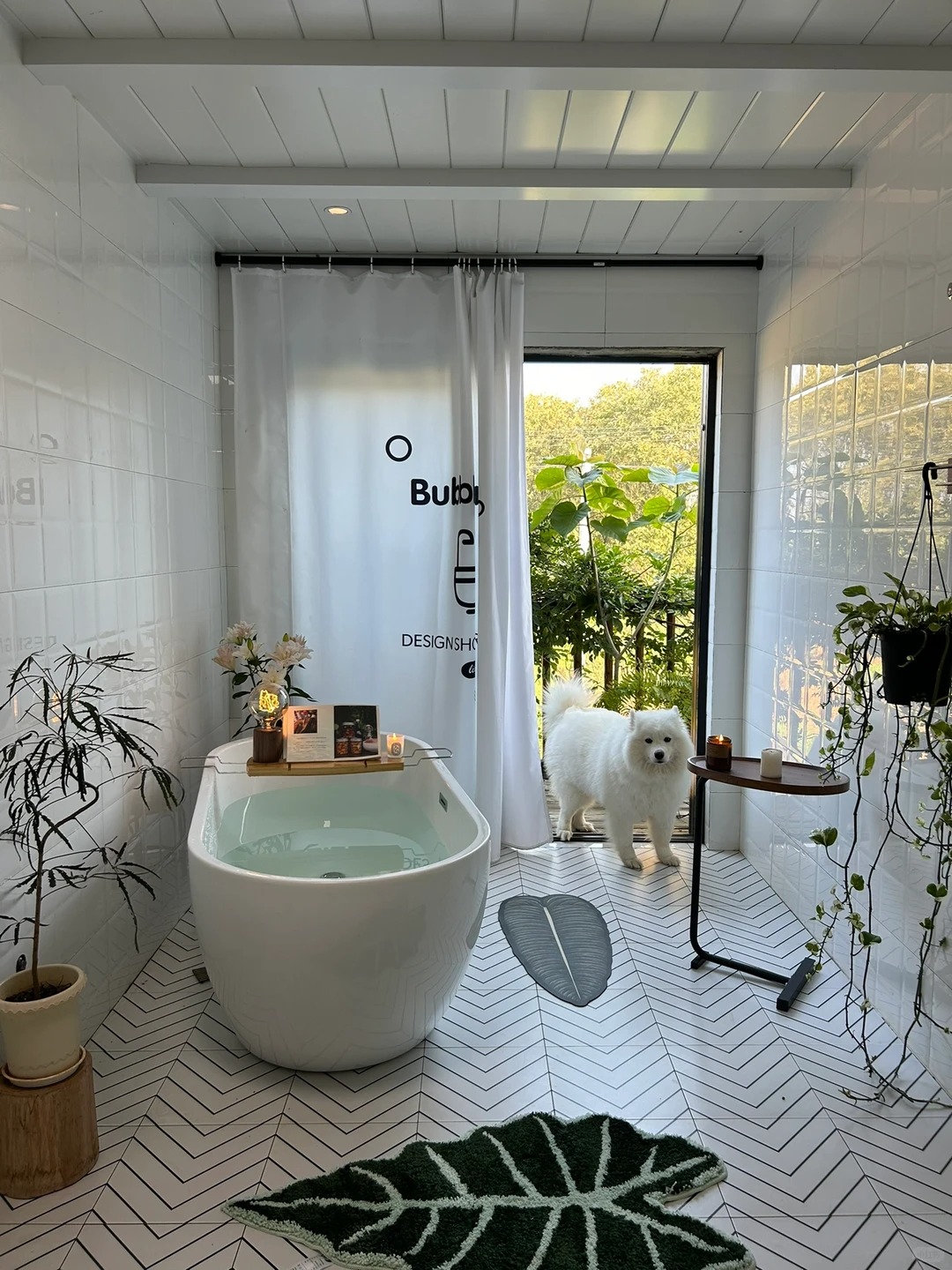 Ch&agrave;ng trai sống cuộc sống b&igrave;nh y&ecirc;n giữa thi&ecirc;n nhi&ecirc;n với 10 con m&egrave;o v&agrave; vlog cuộc sống - Ảnh 9.