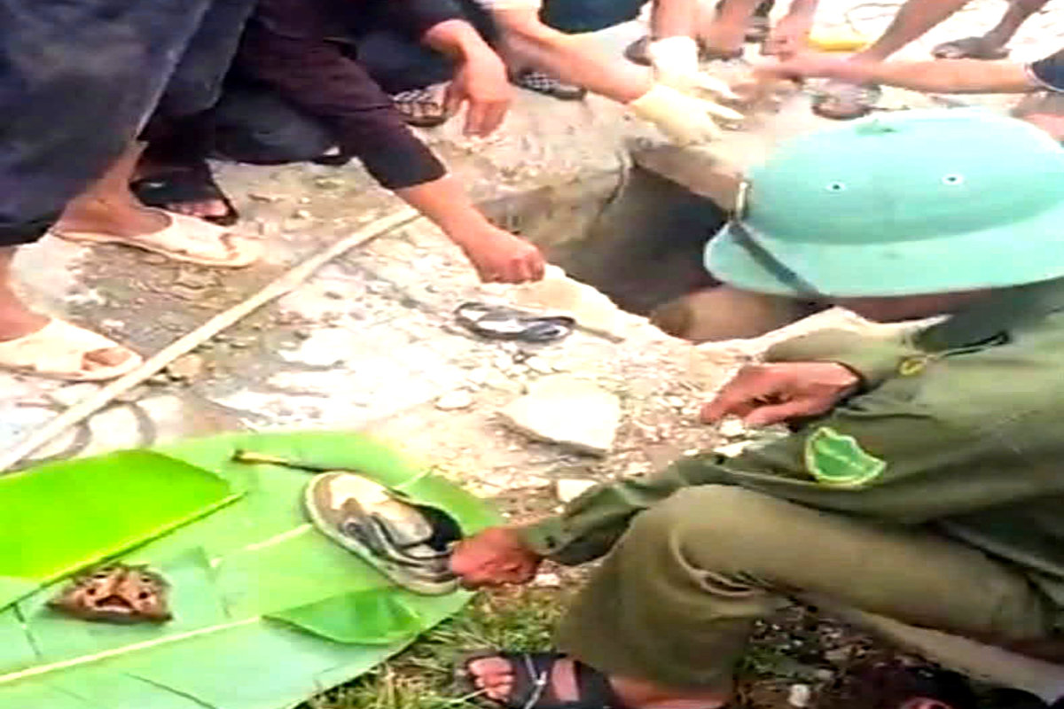 Phát hiện hộp sọ người ở Nghệ An: Đã xác định danh tính nạn nhân - Ảnh 1. Phát hiện hộp sọ người ở Nghệ An: Đã xác định danh tính nạn nhân - Ảnh 1.