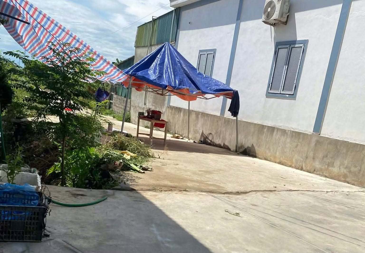 Phát hiện hộp sọ người ở Nghệ An: Đã xác định danh tính nạn nhân - Ảnh 2. Phát hiện hộp sọ người ở Nghệ An: Đã xác định danh tính nạn nhân - Ảnh 2.