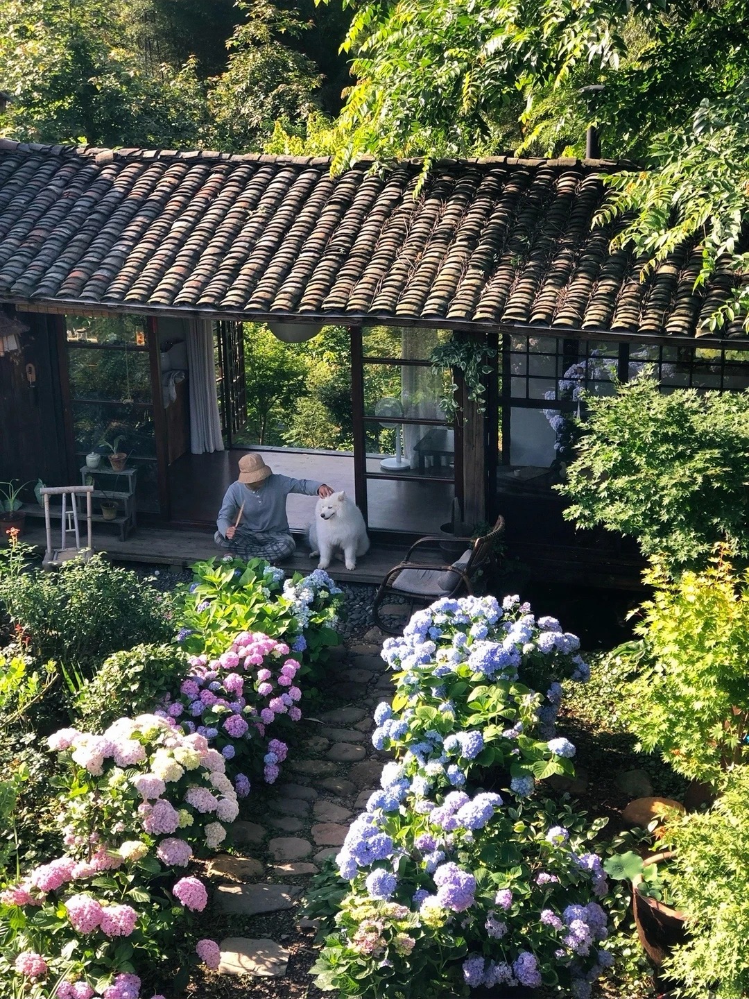 Ch&agrave;ng trai sống trong căn nh&agrave; như tranh vẽ với 10 con m&egrave;o, 2 con ch&oacute; - Ảnh 4.