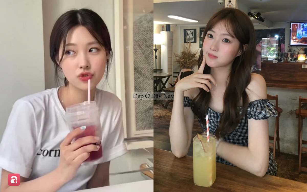 4 loại collagen 
