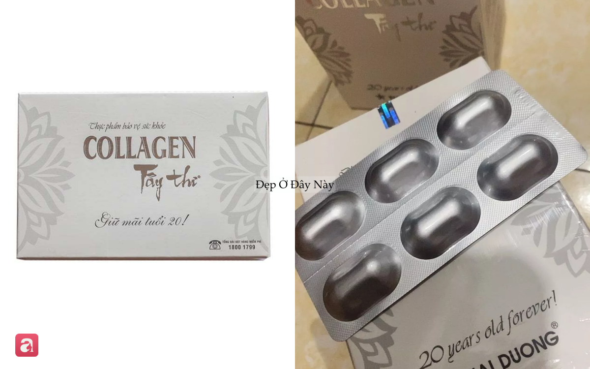 4 loại collagen 