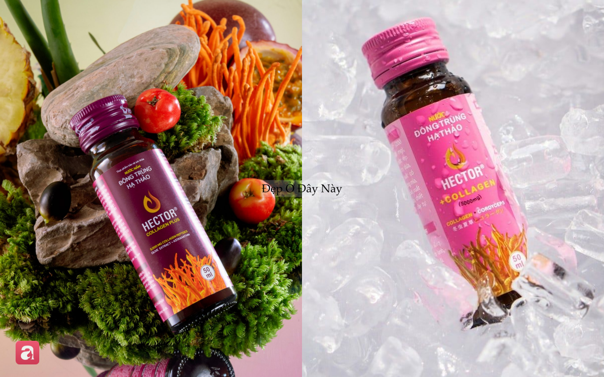 4 loại collagen 