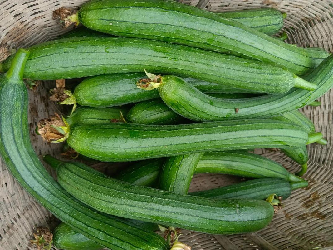 Lu&acirc;n phi&ecirc;n ăn 2 lần một tuần 4 m&oacute;n 