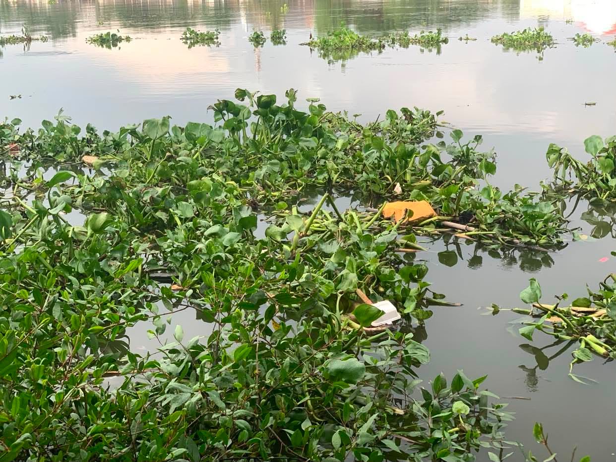 Tìm nhân thân người phụ nữ tử vong, trôi trên sông Sài Gòn - Ảnh 1. Tìm nhân thân người phụ nữ tử vong, trôi trên sông Sài Gòn - Ảnh 1.