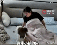 Mèo nhà cứu em bé 7 tháng tuổi suýt ngạt thở, dân mạng trầm trồ: