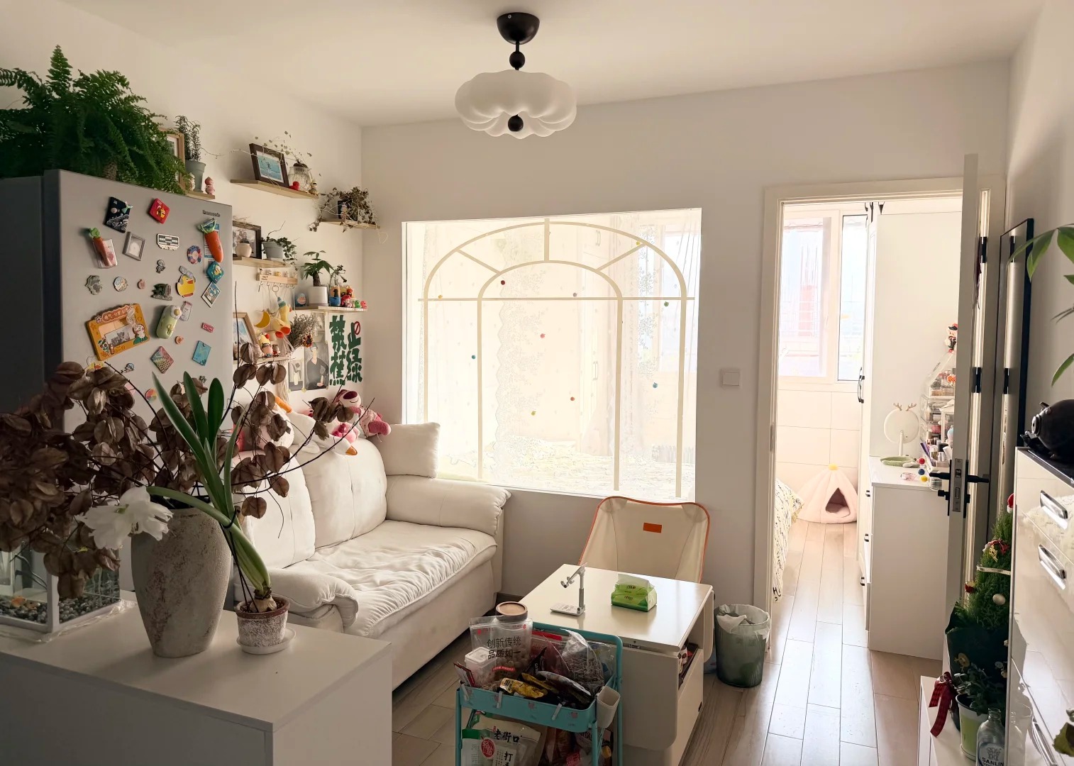 30 tuổi, mua được nh&agrave; 30m2 v&agrave; ở với 2 con m&egrave;o: 