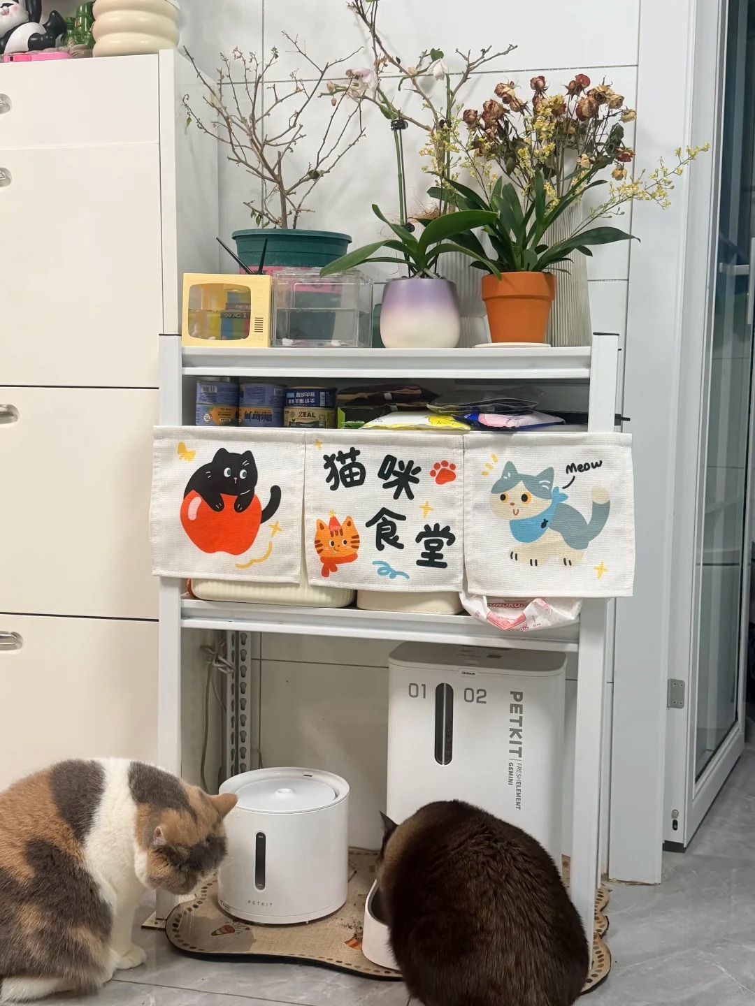 30 tuổi, mua được nh&agrave; 30m2 v&agrave; ở với 2 con m&egrave;o: 