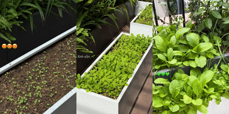 Do&atilde;n Hải My: Tiểu thư sang chảnh v&agrave; cuộc sống giản dị tại biệt thự văn Hậu - Ảnh 9.