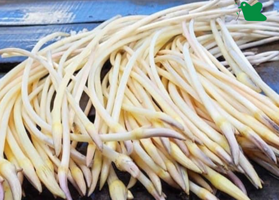 3 m&oacute;n ăn n&agrave;y đang v&agrave;o m&ugrave;a, mềm, bổ dưỡng v&agrave; gi&agrave;u chất dinh dưỡng. - Ảnh 1.